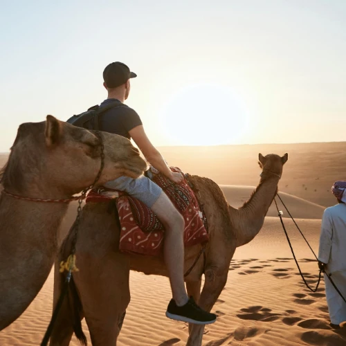 Dubai Safari